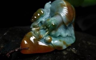 翡翠蜗牛的寓意是什么「行走的蜗牛什么寓意」