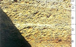 莫西沙场口原石的鉴定