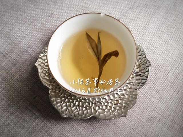 福鼎老白茶怎么辨别老白茶的品质，教你辨别老白茶的品质  第10张