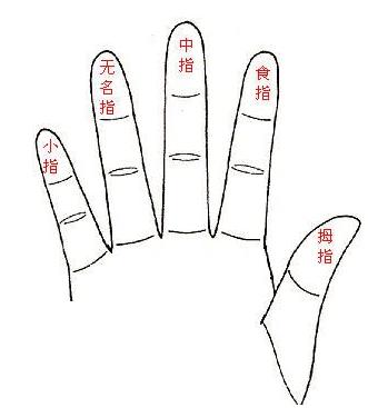 结婚戒指戴无名指是什么意思，戒指戴在左手无名指是什么意思（戒指戴左手无名指是什么意思？）  第2张