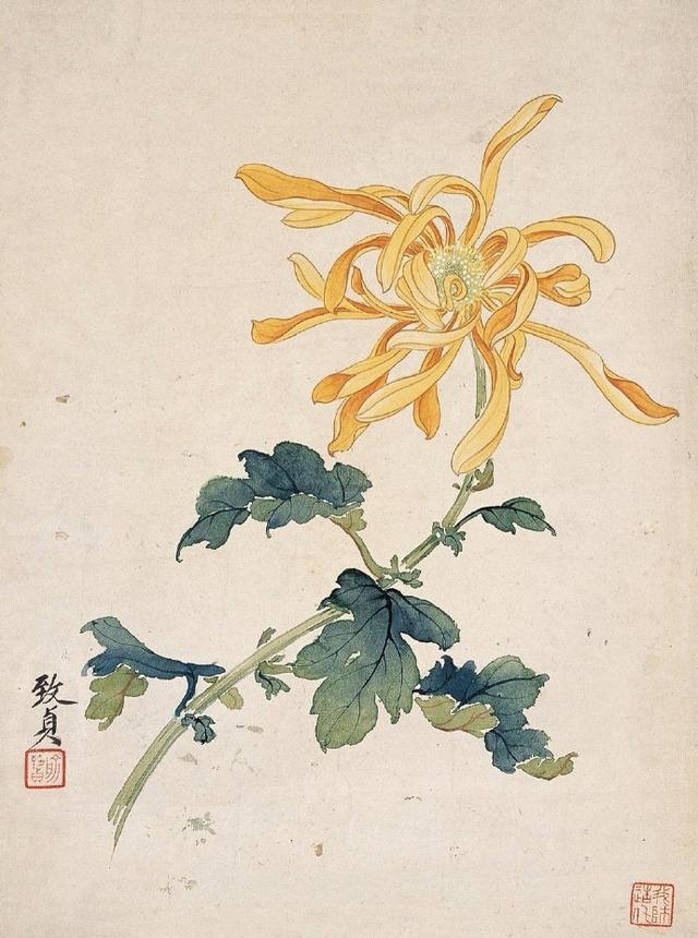 翡翠兰花叶粘怎么办中国有十大名花，墨兰翡翠兰花介绍  第4张