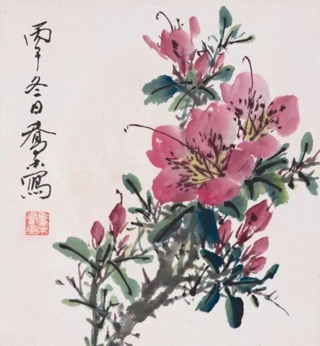 翡翠兰花叶粘怎么办中国有十大名花，墨兰翡翠兰花介绍  第10张