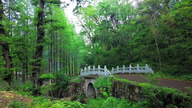 滁州南谯区旅游项目招商览：翡翠公园承重图怎么看  第7张